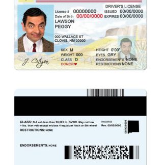 USA State New Mexico Driving License download template file