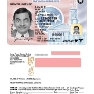 USA Tennessee Driving License 2024 present download template file