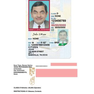 USA Tennessee Driving License under 21 download template file