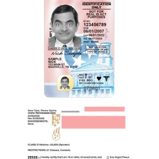USA Tennessee under 21 Driving License 2024 present download template file