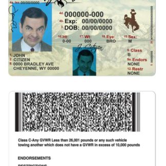 USA Wyoming state Driving License download template file