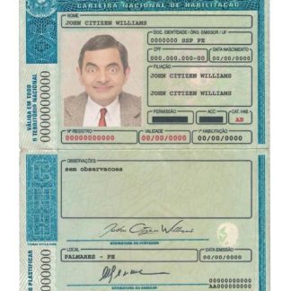 Brazil(RioGrandedoSul)Driving License download template file