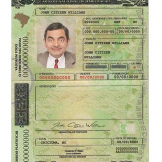 Brazil (Detran Pe, Pernambuco) Driving License download template file