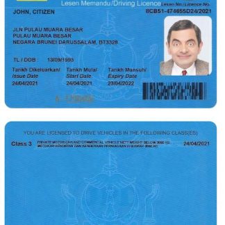 BRUNEI Driving License download template file