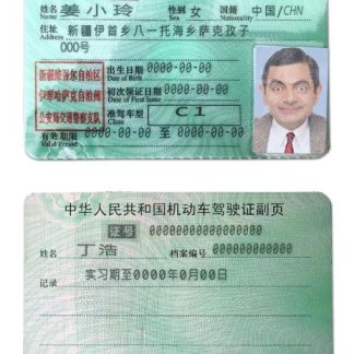 China Driving License download template file