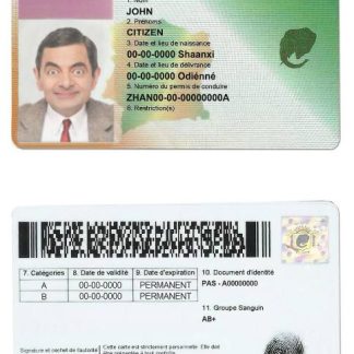 Cote D'Ivoire Driving License download template file