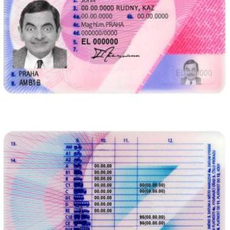 Czech Driving License download template file