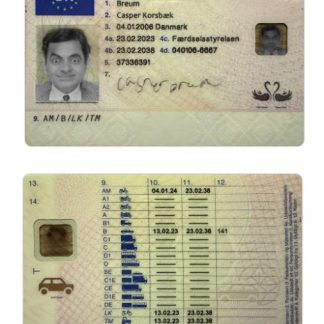 Denmark Driving License 2023 present download template file