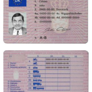 Denmark Driving License 1997 download template file