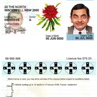 Australia New South Wales driver license download template file
