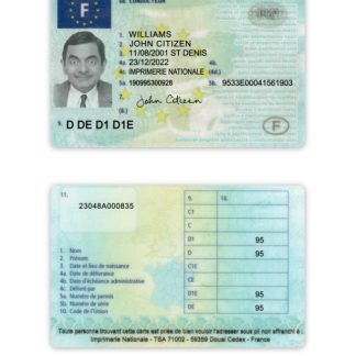 France Driving License 2022 download template file