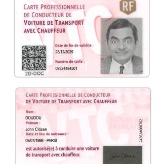France professional driver's card download template file