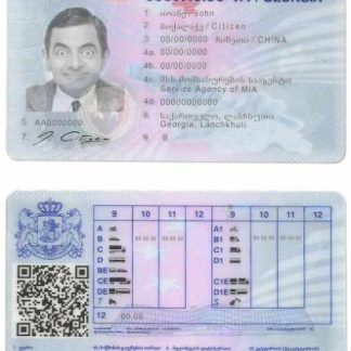 Georgia Driving License download template file