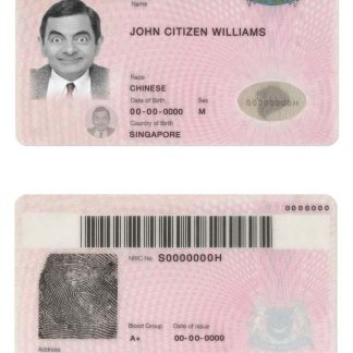 Singapore Identity Card Download Template File