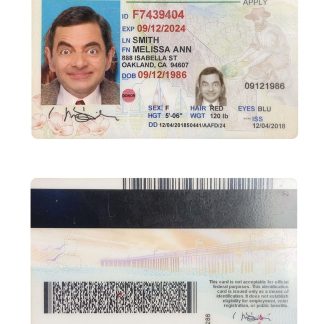 USA California ID Card Download Template File