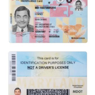 USA Maryland ID Card Download Template File