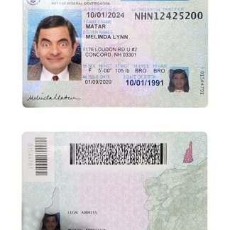 USA New Hampshire ID Card Download Template File