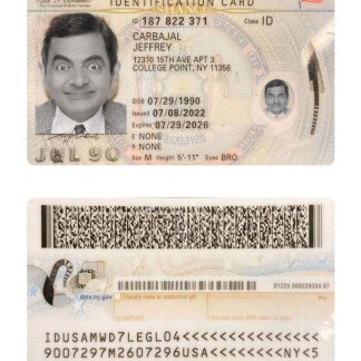 USA New York identification Card Download Template File