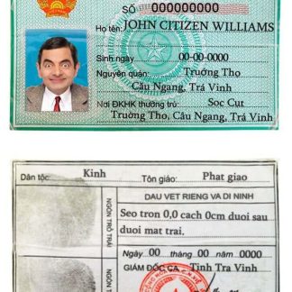 Vietnam ID Card v1 Download Template File
