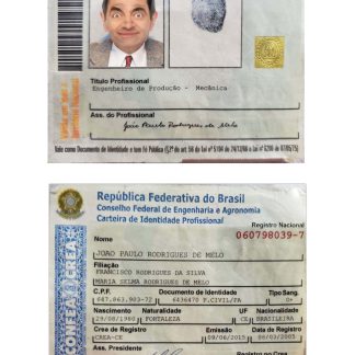 Brazil Professional Identity Card Download Template File