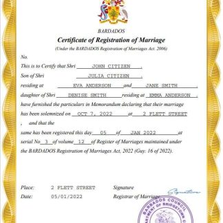 Barbados marriage certificate Word and PDF template download template file