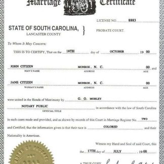 USA South Carolina marriage certificate template in PSD format download template file