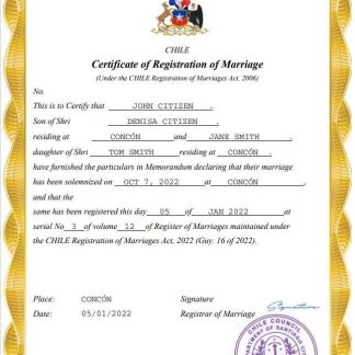 Chile marriage certificate Word and PDF template download template file