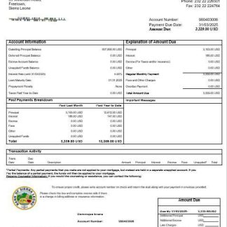 Sierra Leone Bank of Sierra Leone bank mortgage statement in Word and PDF formats download template file