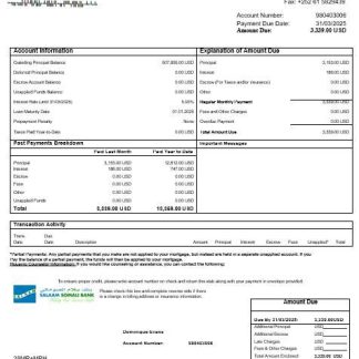 Somali Salaam Somali bank mortgage statement in Word and PDF formats download template file
