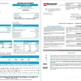 Switzerland Dukascopy bank mortgage loan statement in Word and PDF formats , 8 pages 1 2 download template file