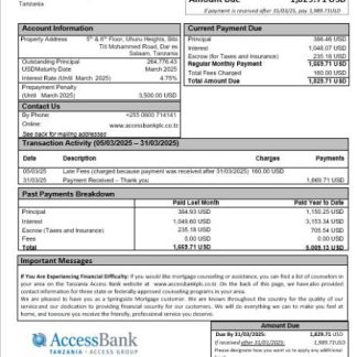 Tanzania Access Bank mortgage statement in Word and PDF formats download template file
