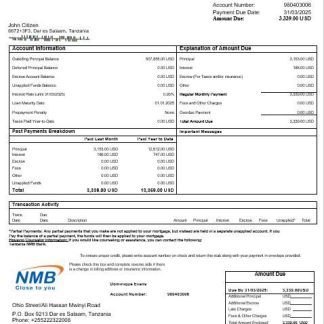 Tanzania NMB Bank mortgage statement in Word and PDF formats download template file