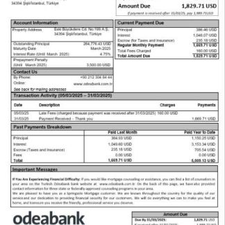Turkish Odeabank bank mortgage statement in Word and PDF formats download template file
