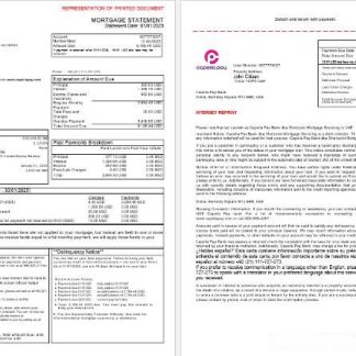 UAE Capella Pay bank mortgage statement in Word and PDF formats, 3 pages 1 2 download template file