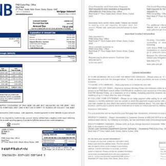 UAE Dubai PNB bank mortgage statement in Word and PDF formats download template file