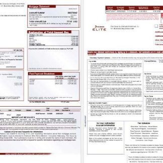 UAE Rakbank Elite bank mortgage statement in Word and PDF formats, 3 pages 1 2 download template file