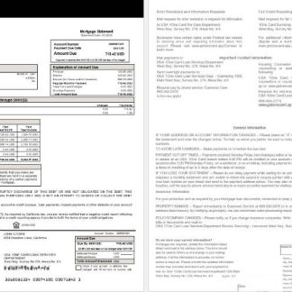 USA 1One Card mortgage statement in Word and PDF formats download template file