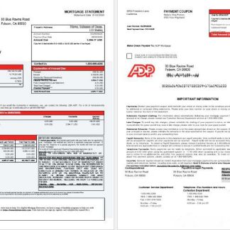 USA ADP mortgage statement in Word and PDF formats 1 2 download template file