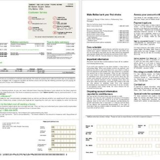 USA Belize Bank mortgage statement in Word and PDF formats, 2 pages download template file