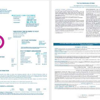 USA California BlueVine bank mortgage loan statement in Word and PDF formats , 4 pages 1 2 download template file