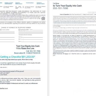 USA California BlueVine bank mortgage loan statement in Word and PDF formats , 4 pages 3 4 download template file