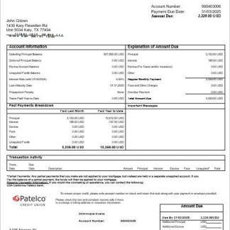 USA California Patelco bank  mortgage statement in Word and PDF formats download template file