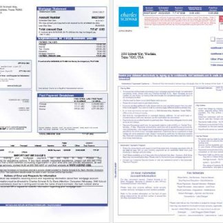 USA Charles Schwab & Co bank mortgage statement in Word and PDF formats, 3 pages 1 2 download template file