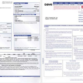 USA Dave bank mortgage statement in Word and PDF formats, 3 pages 1 2 download template file