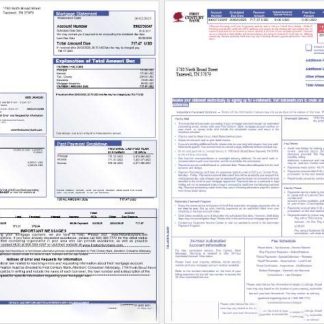 USA First Century Bank mortgage statement in Word and PDF formats, 3 pages 1 2 download template file
