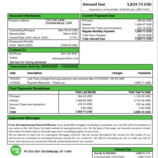 USA Green Dot mortgage statement in Word and PDF formats download template file