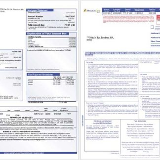 USA HarborOne Bank mortgage statement in Word and PDF formats, 3 pages 1 2 download template file