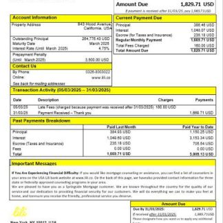 USA Lili bank mortgage statement in Word and PDF formats download template file