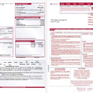 USA Mountain America Credit Union bank mortgage statement in Word and PDF formats, 3 pages 1 2 download template file