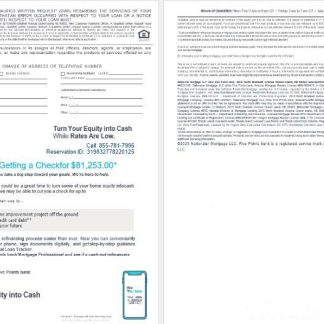 USA Nebraska Five Points Bank mortgage loan statement in Word and PDF formats , 4 pages 3 4 download template file